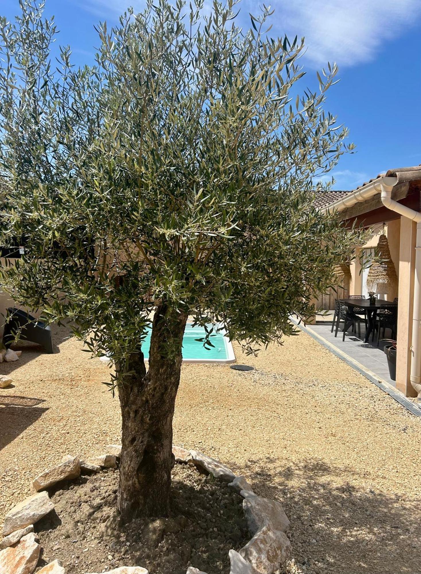 Maison Piscine & Spa Vallon Pont D'Arc Exterior photo
